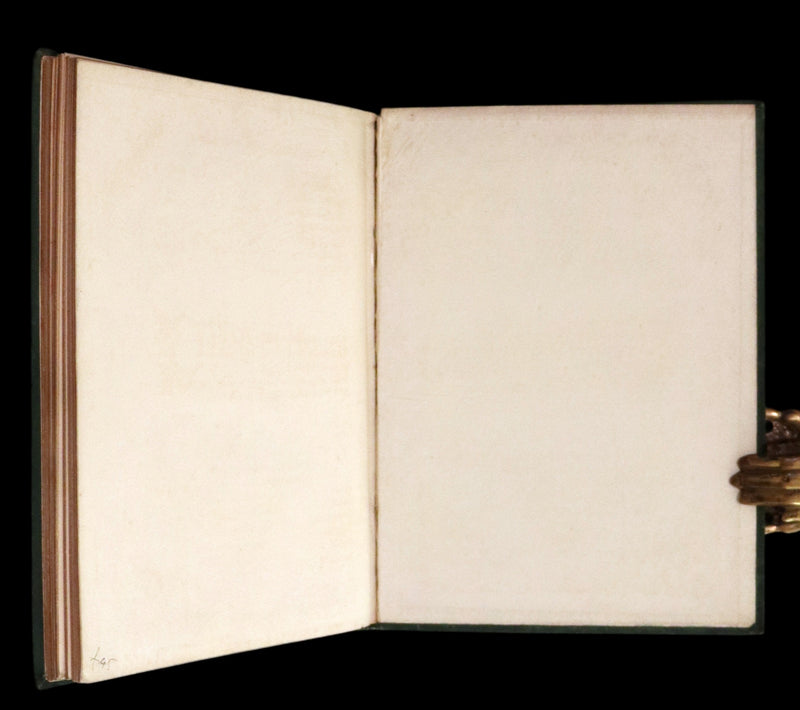 1865 Rare First Edition - The Surprising, Unheard of, and Never-to-be-Surpassed Adventures of Young Munchausen.