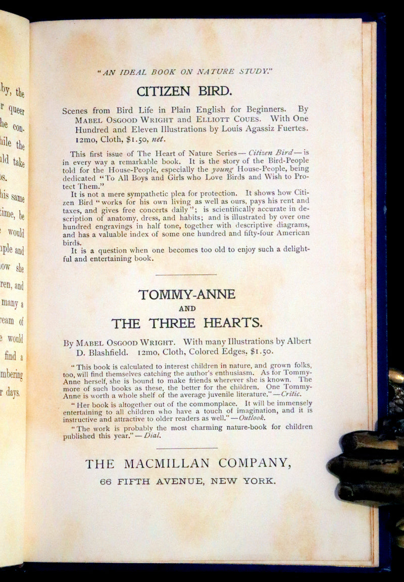 1898 Rare Edition in Blue - Alice's Adventures in Wonderland by Lewis Carroll.