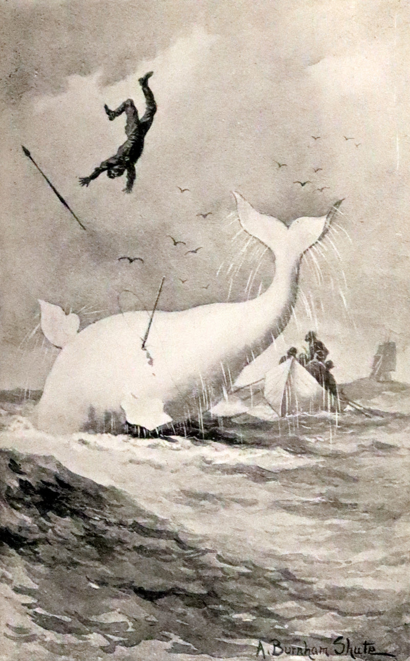 1922 Rare Book - Moby Dick, The White Whale by Herman Melville illustrated by Augustus Burnham Shute.