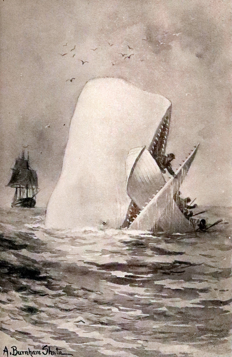 1922 Rare Book - Moby Dick, The White Whale by Herman Melville illustrated by Augustus Burnham Shute.