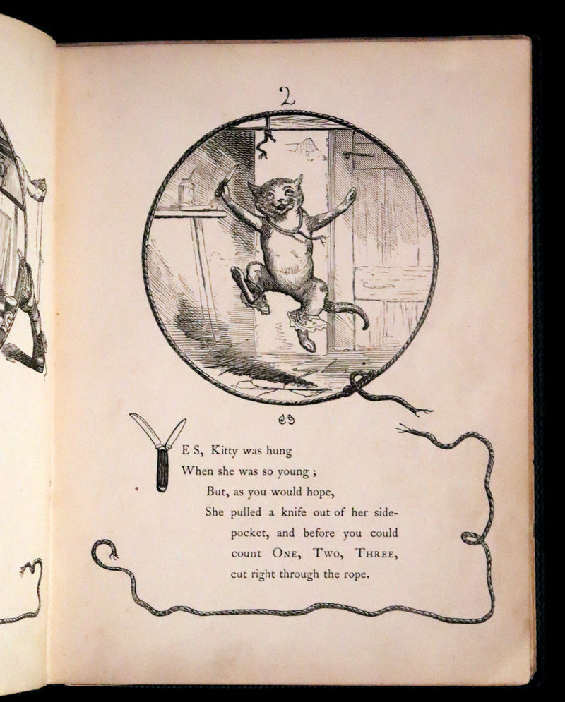 1860 Scarce First Edition - The Nine Lives of a Cat - Tale of Wonder illustrated by Charles H. Bennett.