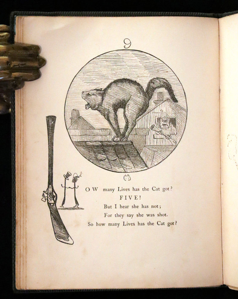 1860 Scarce First Edition - The Nine Lives of a Cat - Tale of Wonder illustrated by Charles H. Bennett.