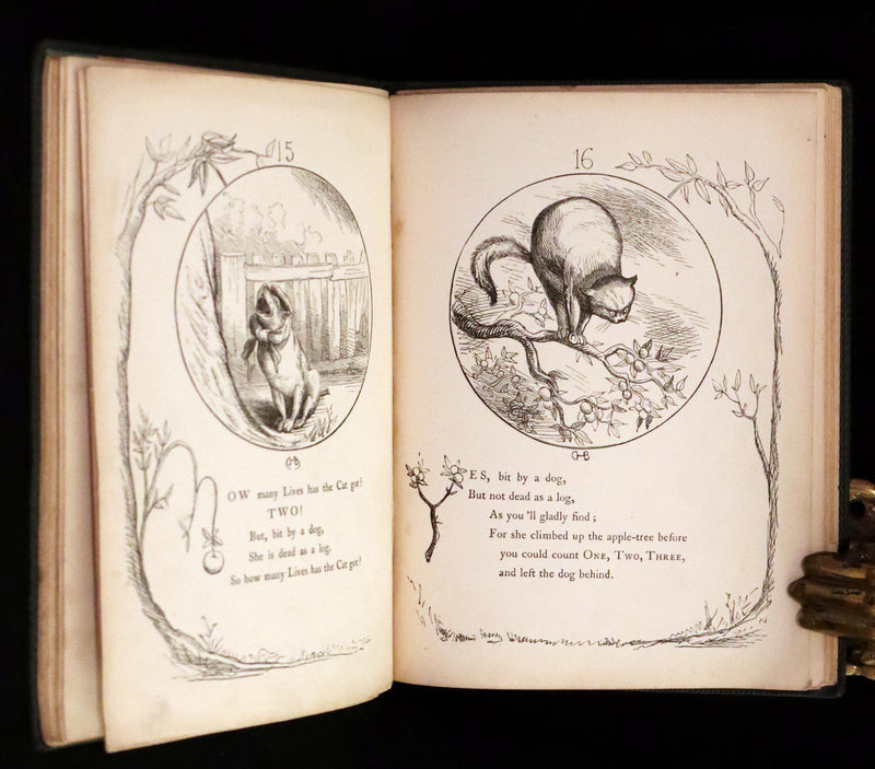 1860 Scarce First Edition - The Nine Lives of a Cat - Tale of Wonder illustrated by Charles H. Bennett.
