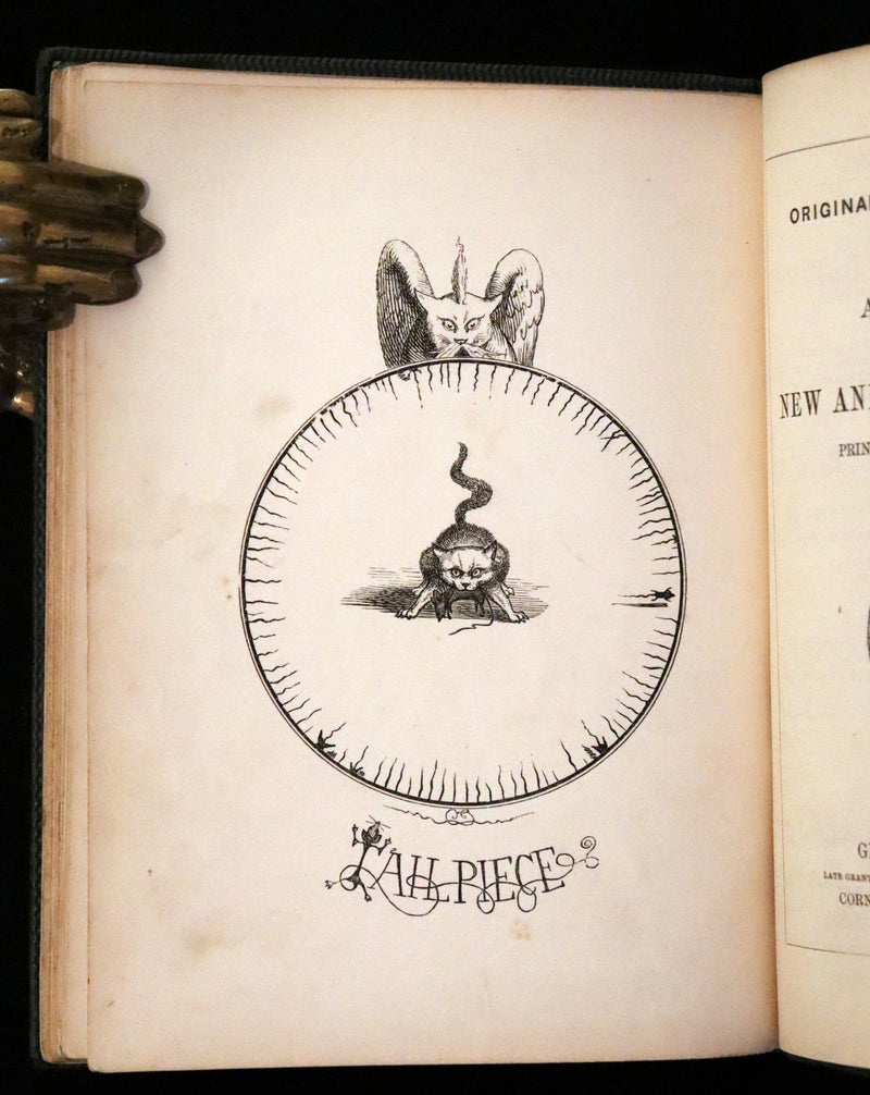 1860 Scarce First Edition - The Nine Lives of a Cat - Tale of Wonder illustrated by Charles H. Bennett.