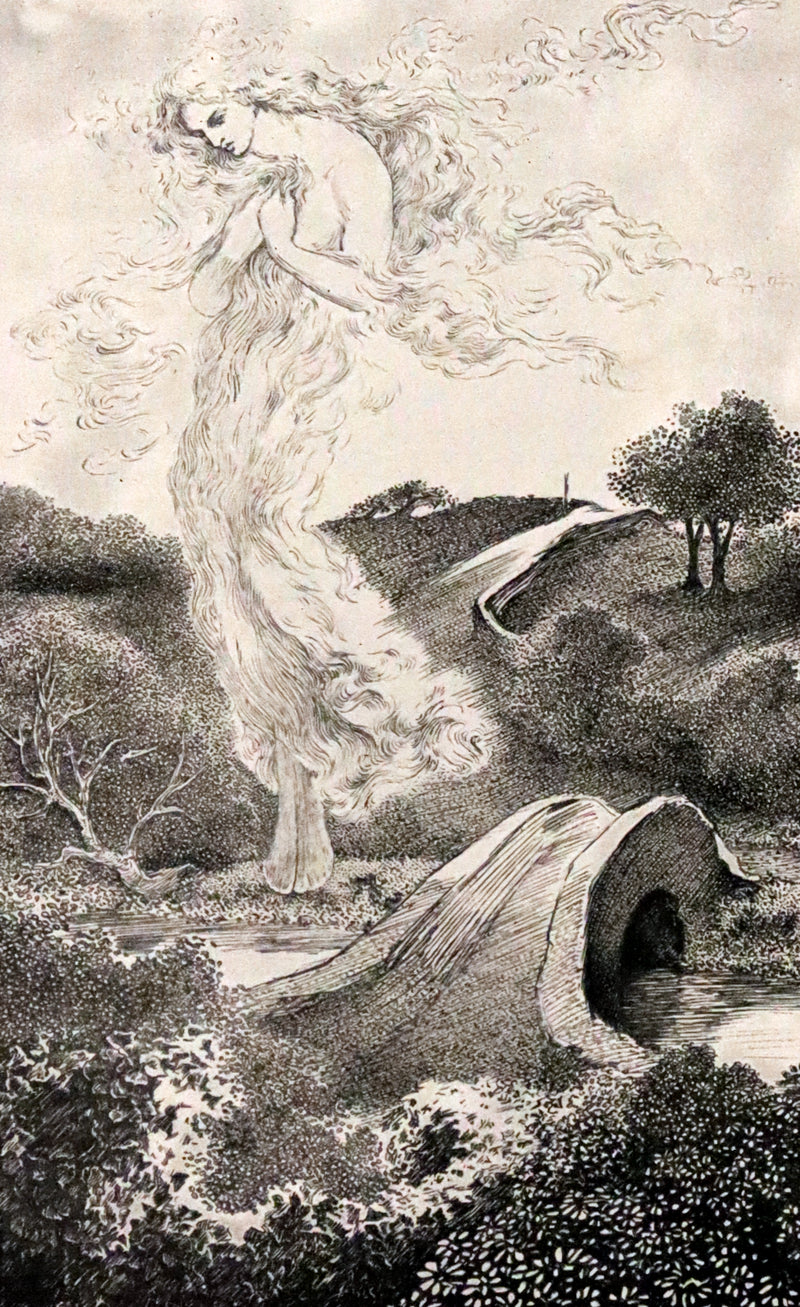 1900 Rare Book - At the Back of the North Wind by George MacDonald illustrated by Arthur Hughes.