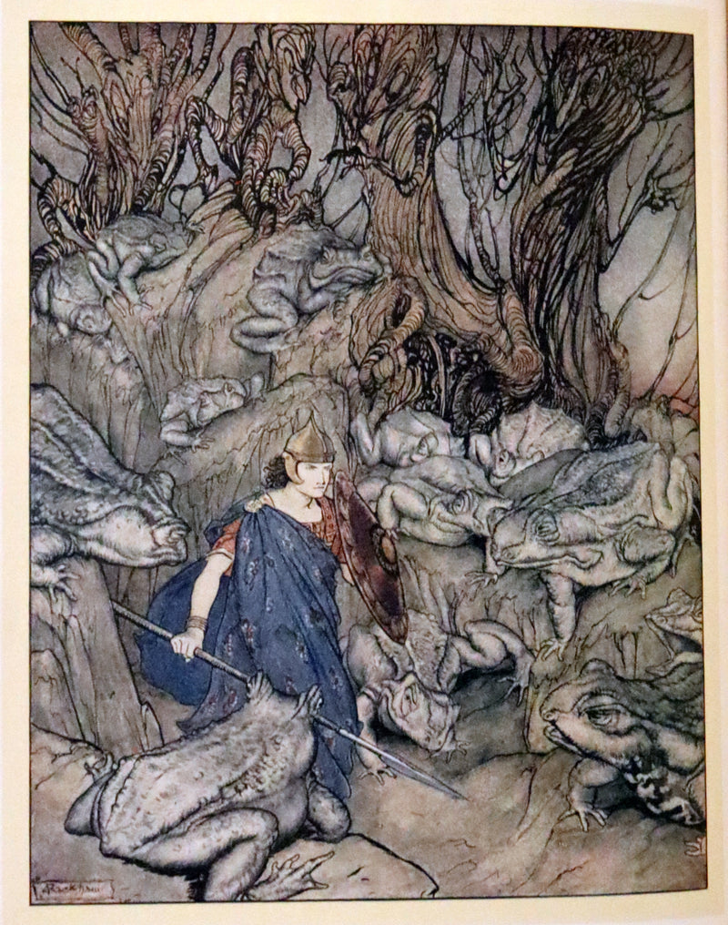 1920 First Edition in Morocco Binding - Irish Fairy Tales illustrated by Arthur Rackham.