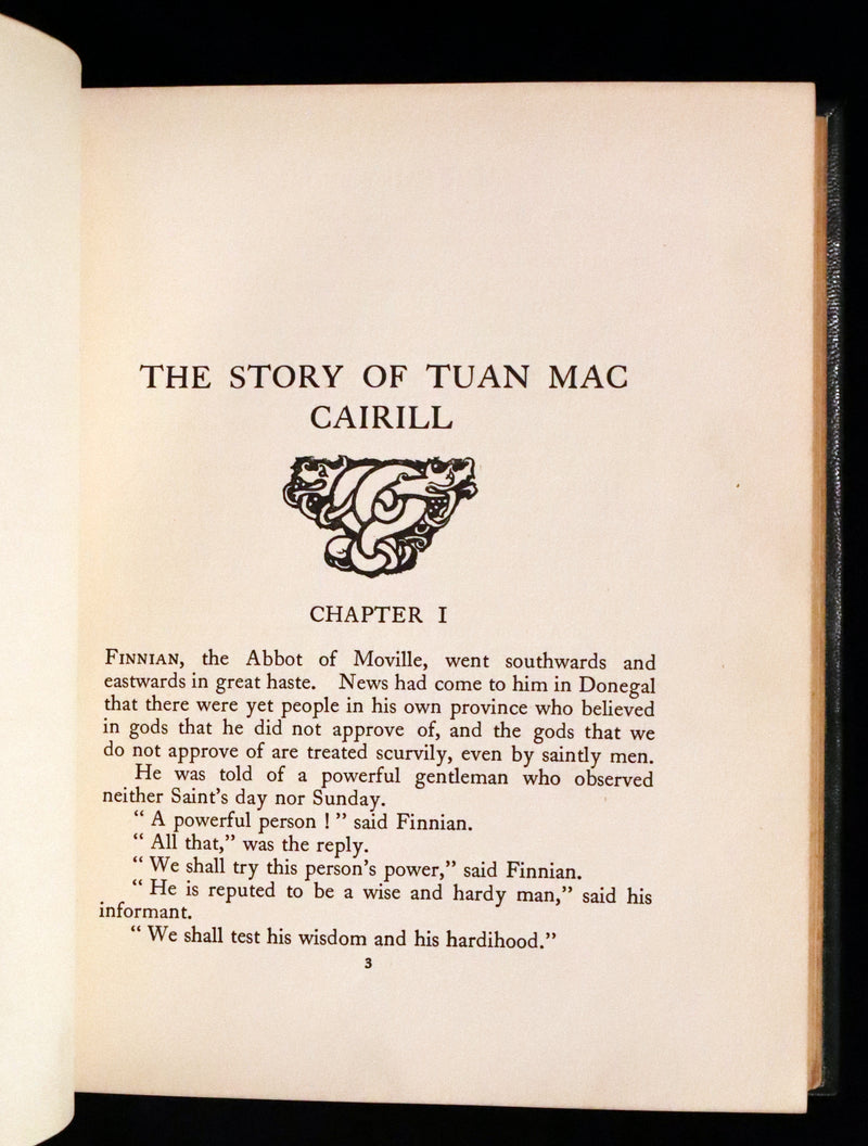 1920 First Edition in Morocco Binding - Irish Fairy Tales illustrated by Arthur Rackham.