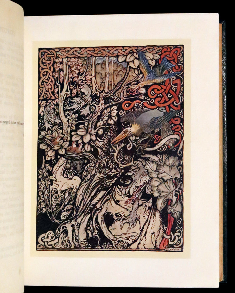 1920 First Edition in Morocco Binding - Irish Fairy Tales illustrated by Arthur Rackham.