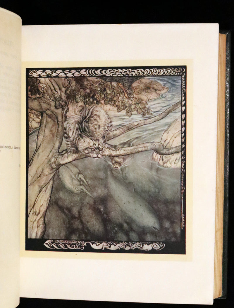 1920 First Edition in Morocco Binding - Irish Fairy Tales illustrated by Arthur Rackham.