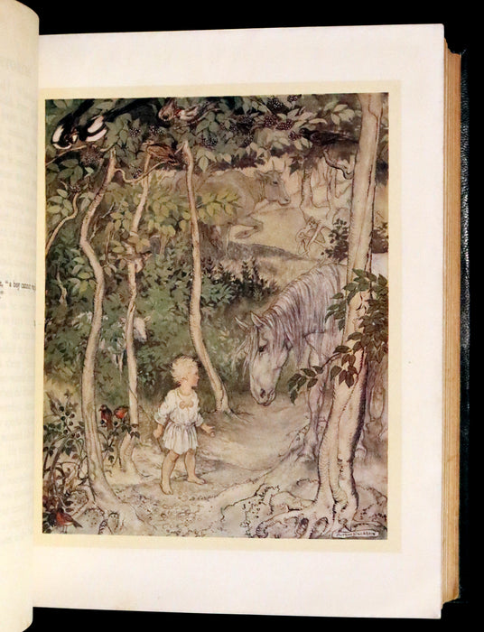 1920 First Edition in Morocco Binding - Irish Fairy Tales illustrated by Arthur Rackham.