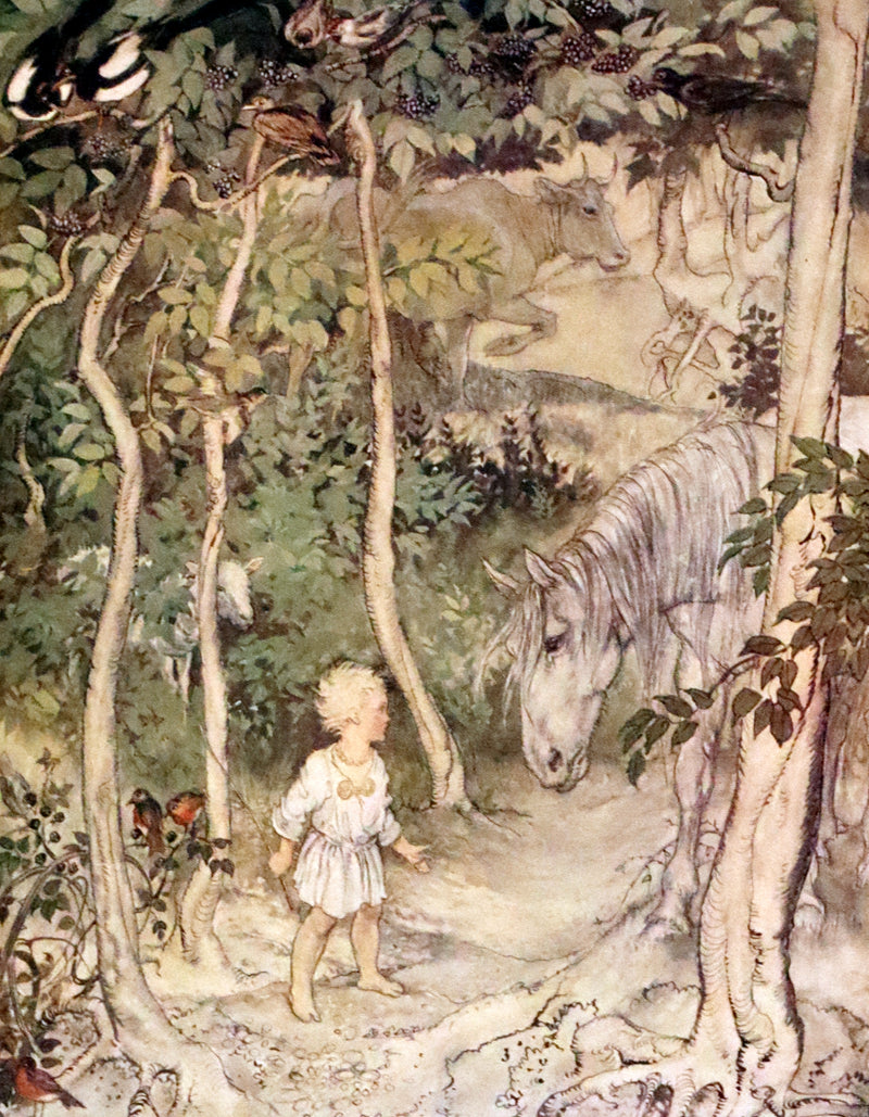 1920 First Edition in Morocco Binding - Irish Fairy Tales illustrated by Arthur Rackham.