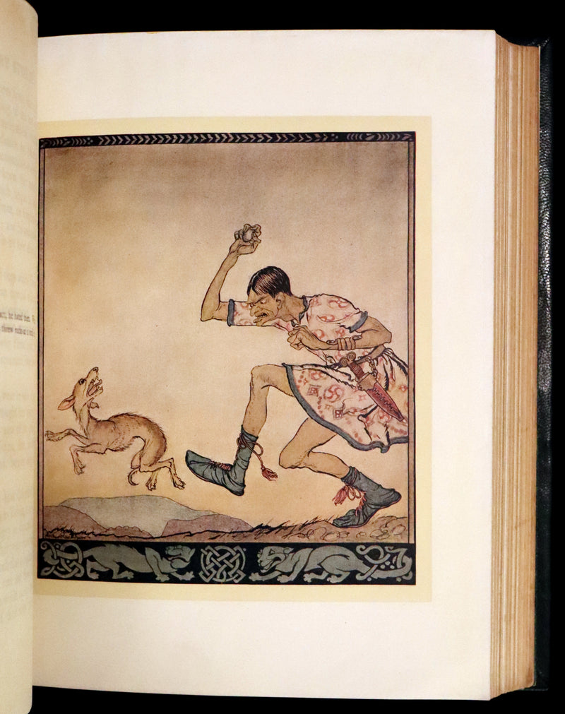 1920 First Edition in Morocco Binding - Irish Fairy Tales illustrated by Arthur Rackham.