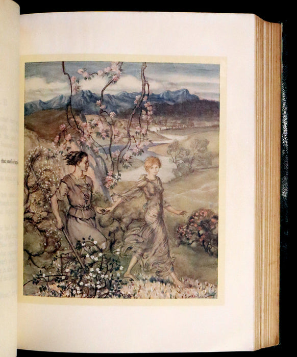 1920 First Edition in Morocco Binding - Irish Fairy Tales illustrated by Arthur Rackham.