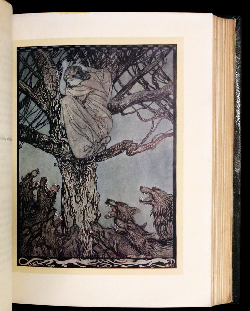 1920 First Edition in Morocco Binding - Irish Fairy Tales illustrated by Arthur Rackham.