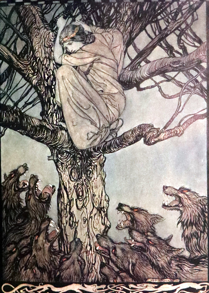 1920 First Edition in Morocco Binding - Irish Fairy Tales illustrated by Arthur Rackham.