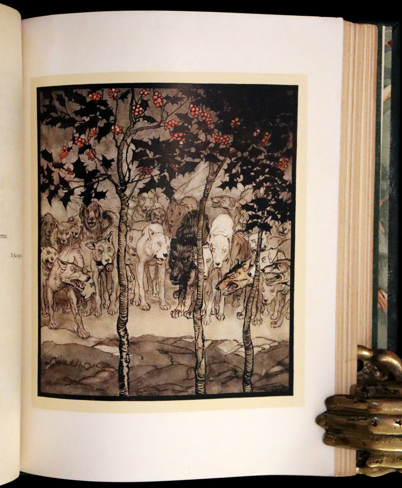1920 First Edition in Morocco Binding - Irish Fairy Tales illustrated by Arthur Rackham.