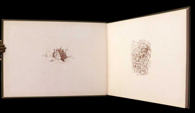 1919 Rare First Edition - The Hole and Corner Book by Nancy and Bessie Parker.