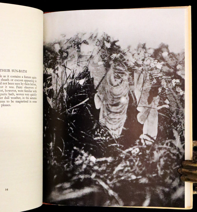 1957 Rare Book - Fairies, The Cottingley Photographs And Their Sequel by Edward L. Gardner.