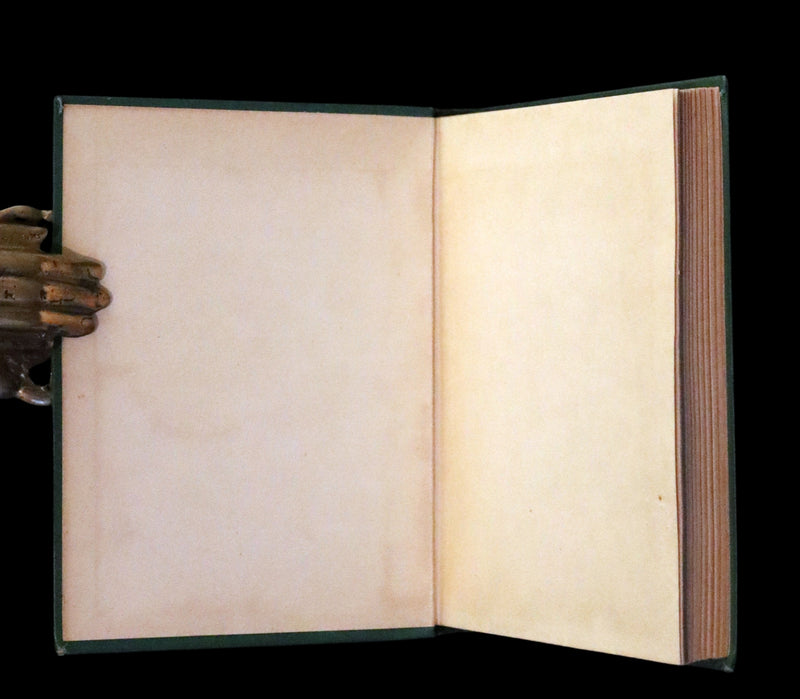 1915 Scarce Book -  Mother Goose and Her Friends in Fairyland.