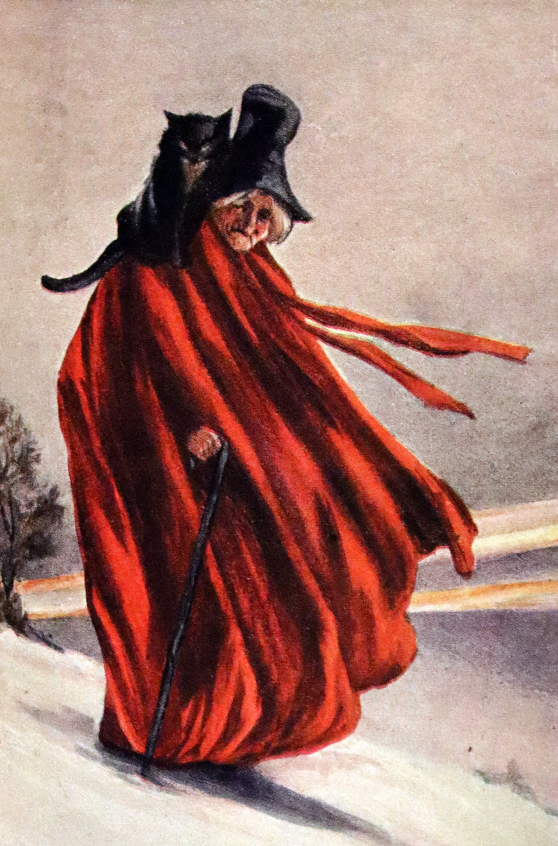 1915 Scarce Book -  Mother Goose and Her Friends in Fairyland.