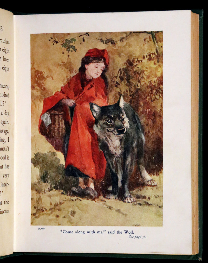 1915 Scarce Book -  Mother Goose and Her Friends in Fairyland.