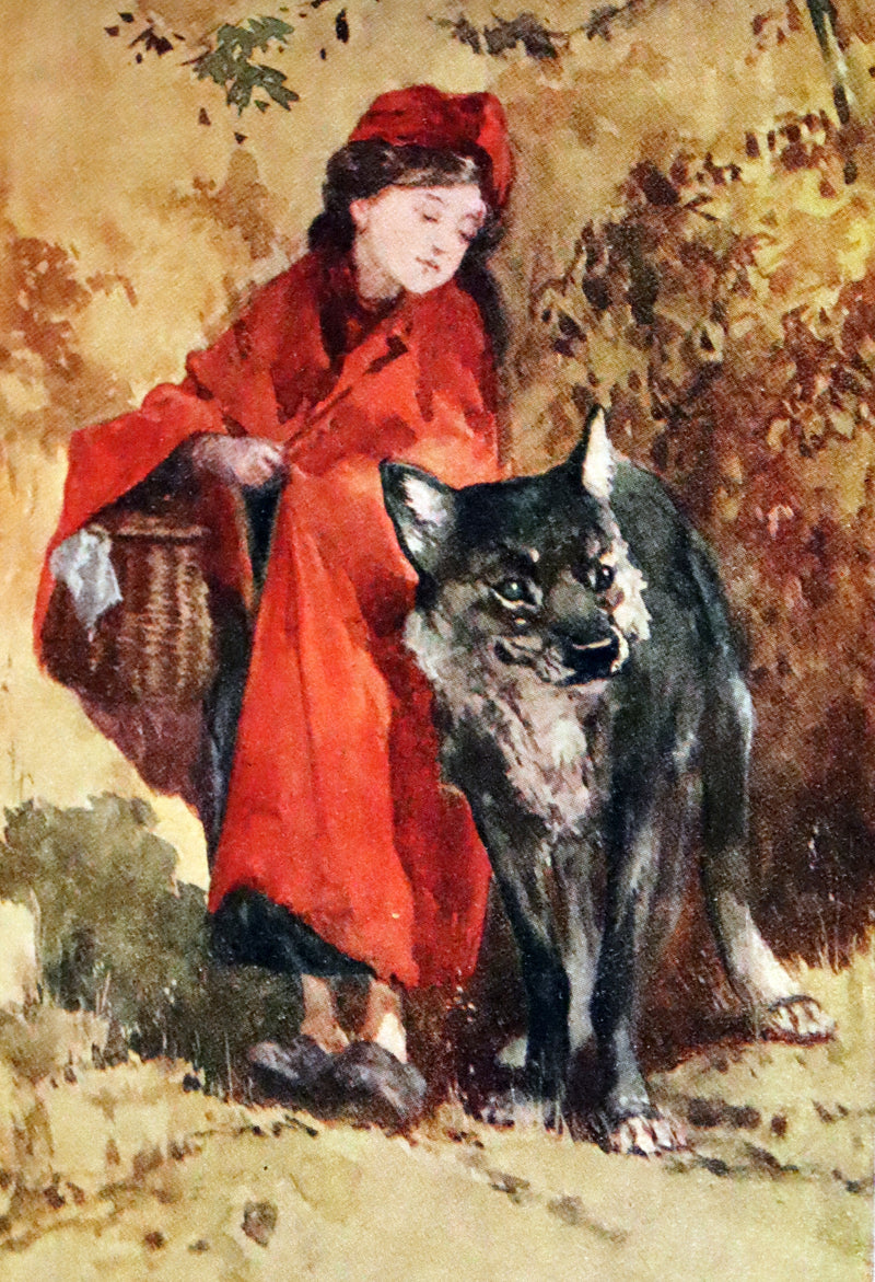 1915 Scarce Book -  Mother Goose and Her Friends in Fairyland.