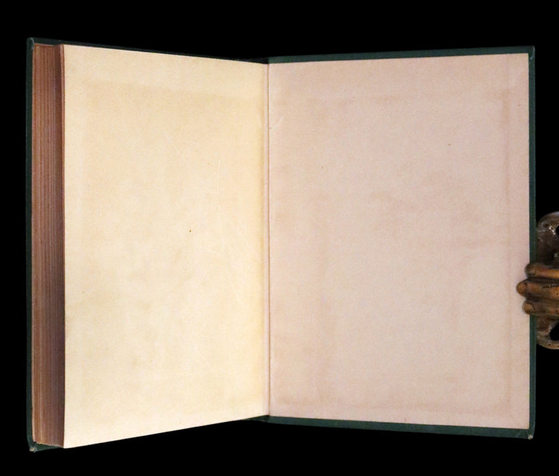 1915 Scarce Book -  Mother Goose and Her Friends in Fairyland.