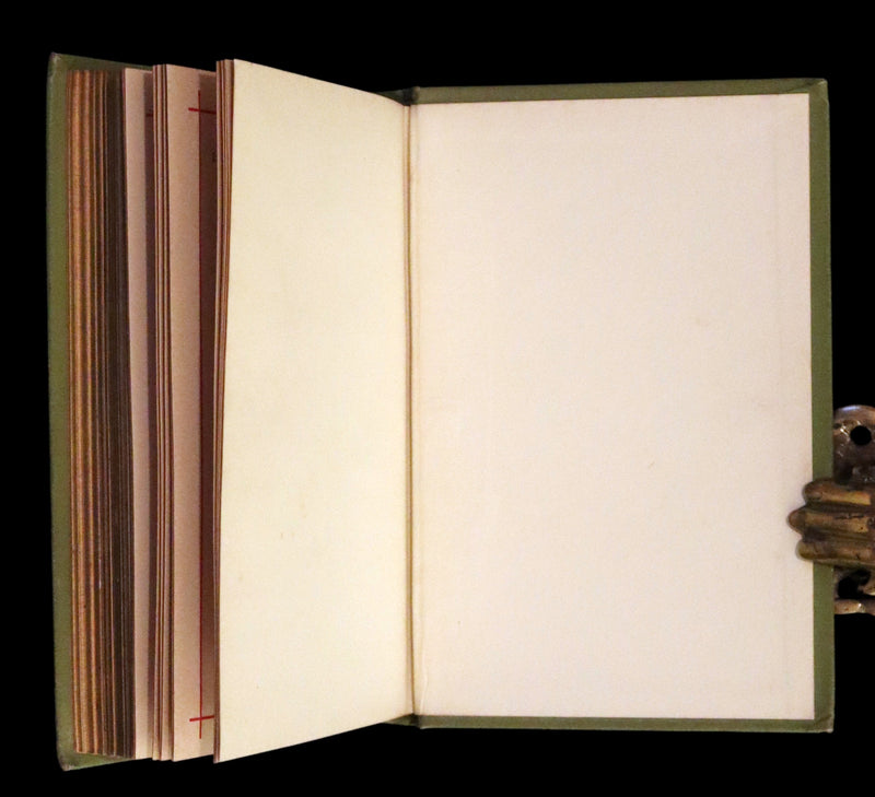 1881 Rare Book - Poems by Edgar Allan Poe with Memoir (The Raven, Lenore,...). Illustrated.