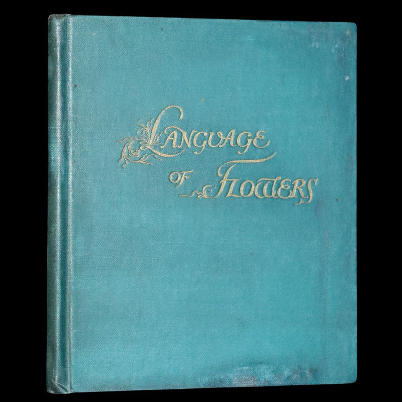 1890 Scarce Victorian Floriography Book ~ The Language of Flowers by Ernest Nister.
