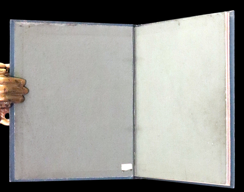 1890 Scarce Victorian Floriography Book ~ The Language of Flowers by Ernest Nister.