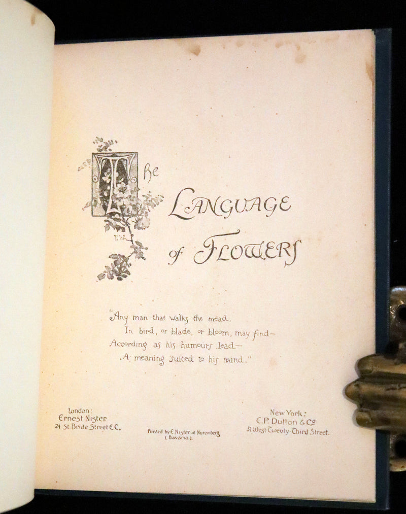 1890 Scarce Victorian Floriography Book ~ The Language of Flowers by Ernest Nister.