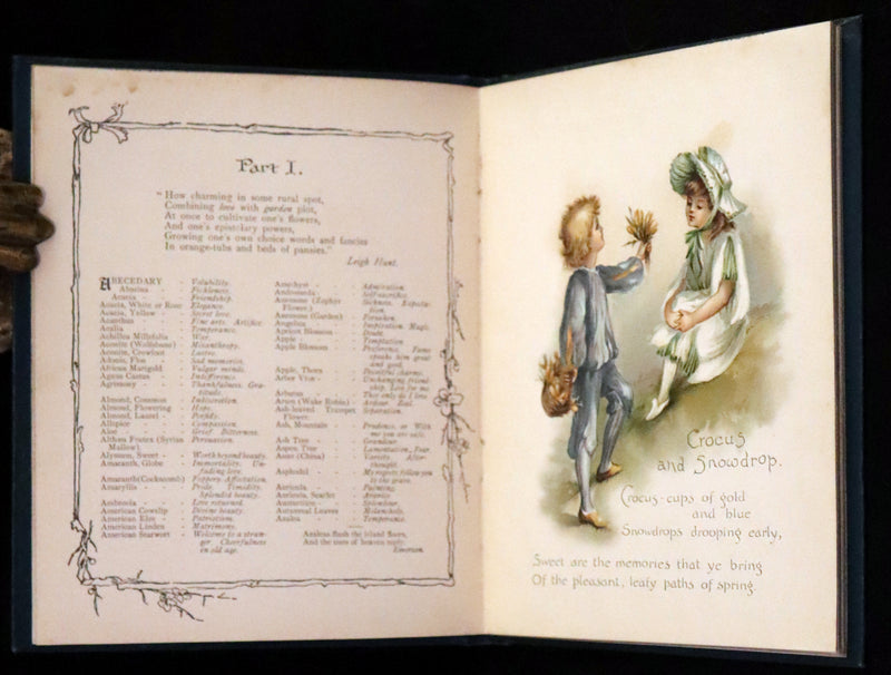 1890 Scarce Victorian Floriography Book ~ The Language of Flowers by Ernest Nister.