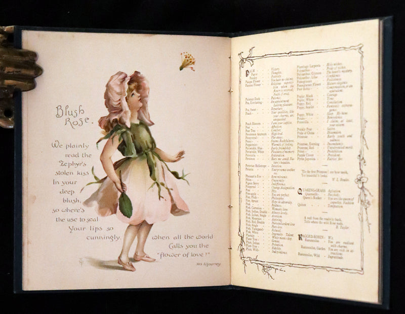 1890 Scarce Victorian Floriography Book ~ The Language of Flowers by Ernest Nister.