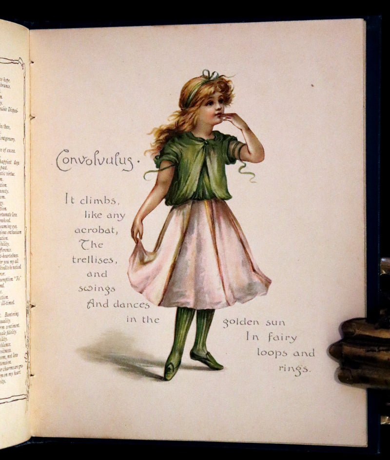 1890 Scarce Victorian Floriography Book ~ The Language of Flowers by Ernest Nister.