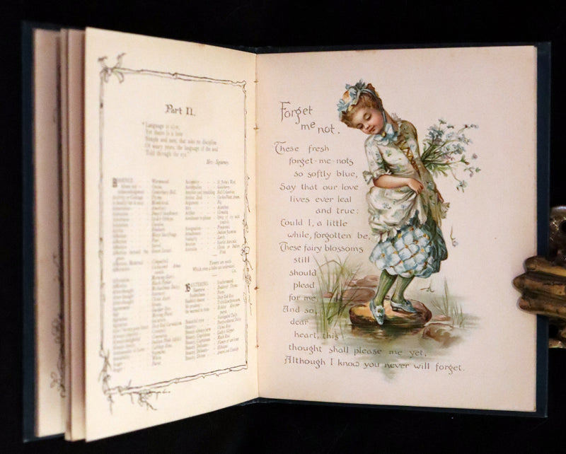 1890 Scarce Victorian Floriography Book ~ The Language of Flowers by Ernest Nister.