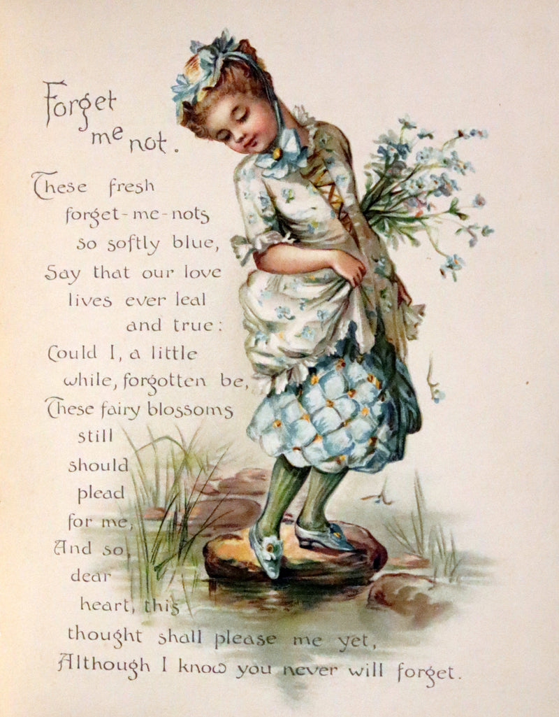 1890 Scarce Victorian Floriography Book ~ The Language of Flowers by Ernest Nister.