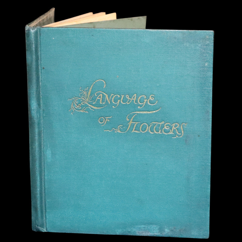 1890 Scarce Victorian Floriography Book ~ The Language of Flowers by Ernest Nister.