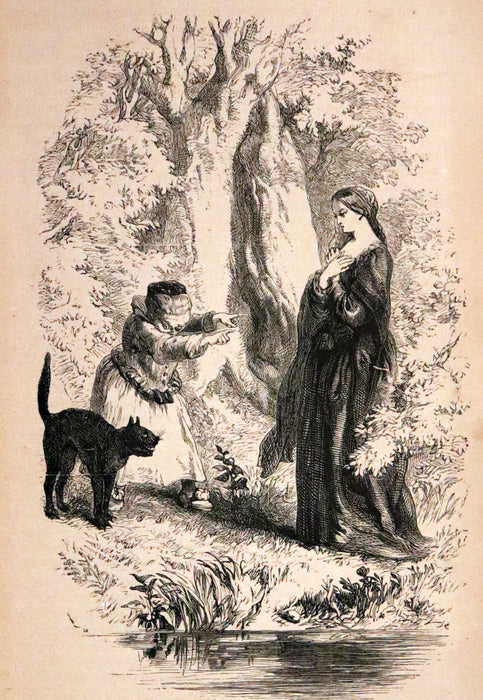 1875 Rare Illustrated Edition - The Lancashire Witches. A Romance Of Pendle Forest.