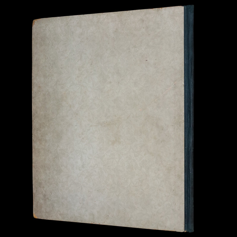 1895 Rare First Edition - Brownie Year Book