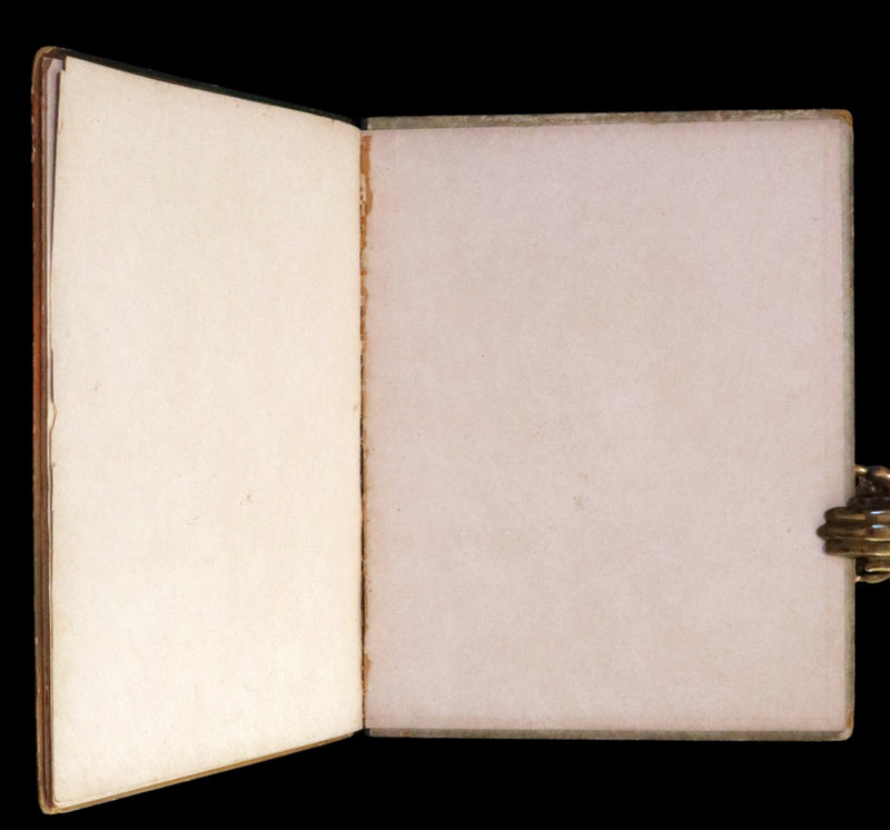 1895 Rare First Edition - Brownie Year Book