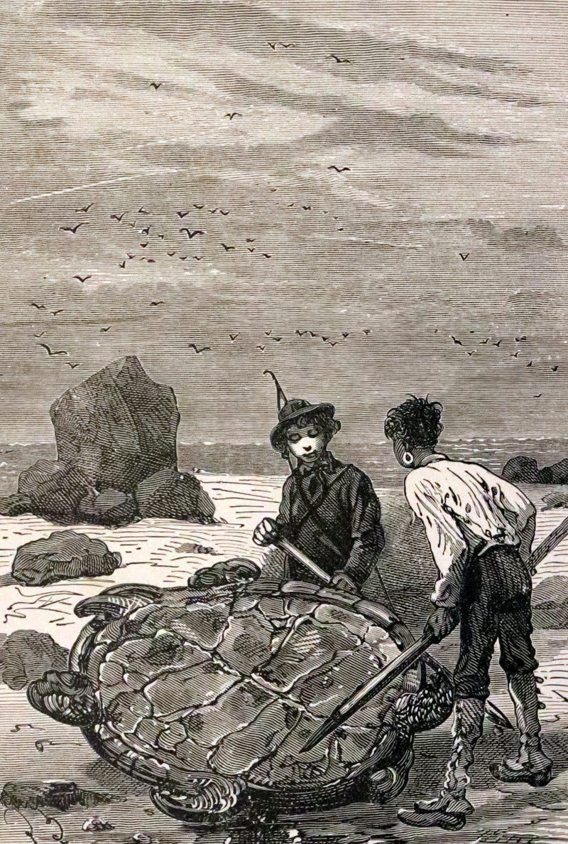 1911 Rare Illustrated Book - Abandoned being the second part of The Mysterious Island by Jules Verne