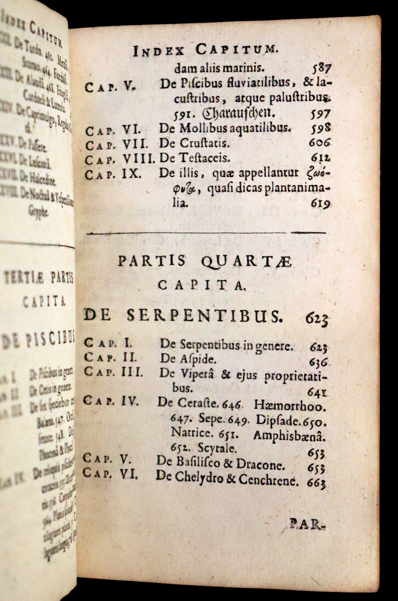 1665 Rare Latin Book - Unicorn, Griffin, Dragon, Basilisk, Franz's Historia Animalium.