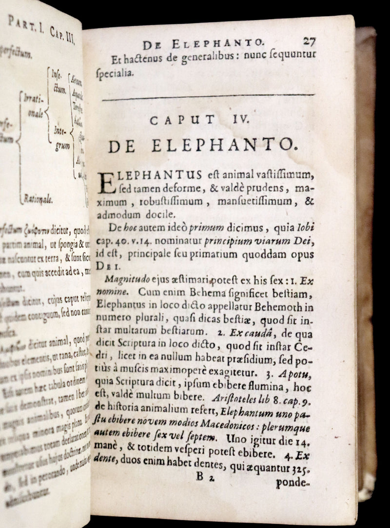 1665 Rare Latin Book - Unicorn, Griffin, Dragon, Basilisk, Franz's Historia Animalium.