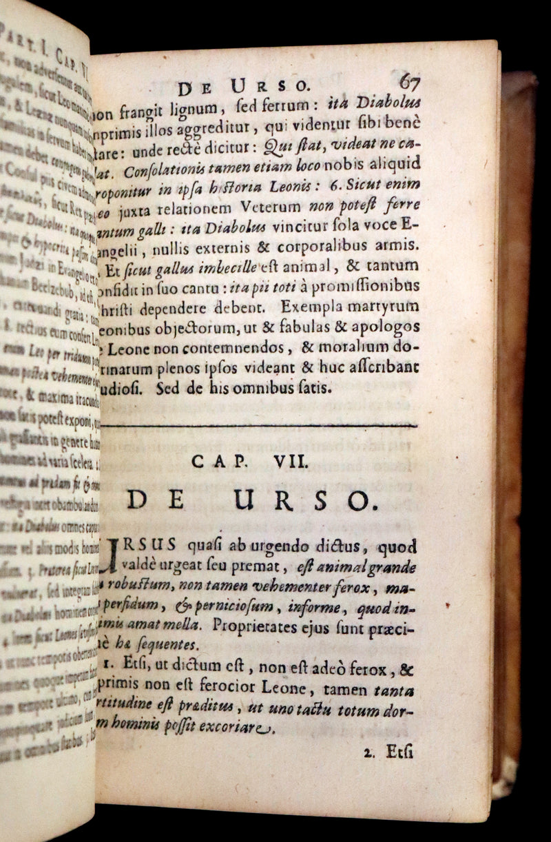 1665 Rare Latin Book - Unicorn, Griffin, Dragon, Basilisk, Franz's Historia Animalium.