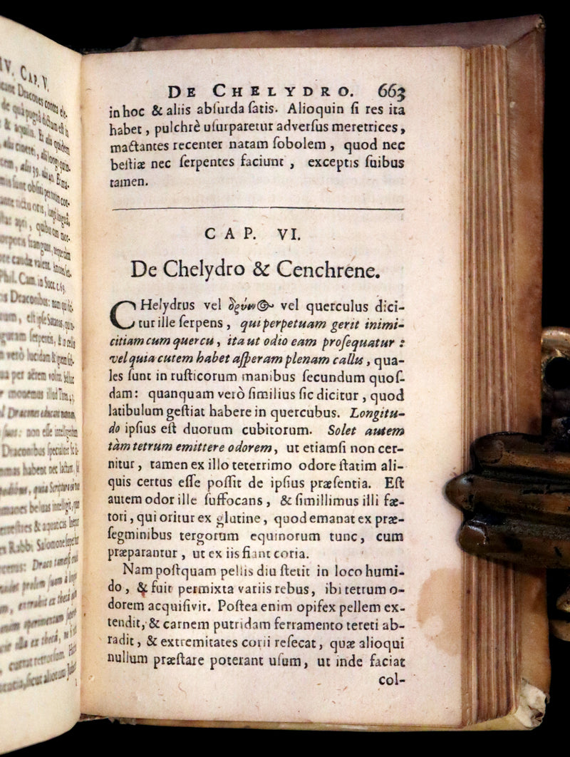 1665 Rare Latin Book - Unicorn, Griffin, Dragon, Basilisk, Franz's Historia Animalium.