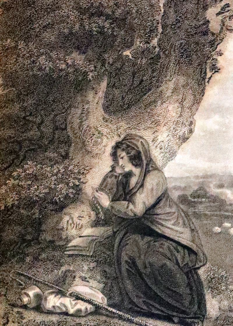 1799 Rare Book Set - Solitude, or the Effect of Occasional Retirement on the Mind.