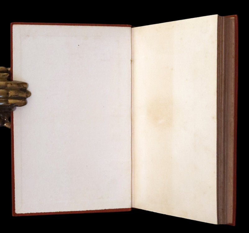 1913 Rare Book -  The White Doe and Other Fairy Stories by Andrew Lang, Illustrated by H. J. Ford.