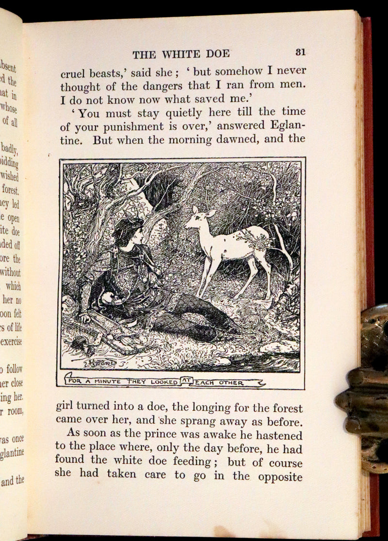 1913 Rare Book -  The White Doe and Other Fairy Stories by Andrew Lang, Illustrated by H. J. Ford.