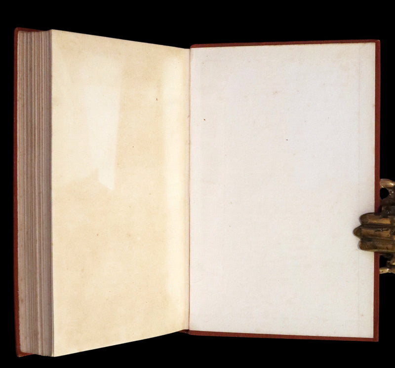 1913 Rare Book -  The White Doe and Other Fairy Stories by Andrew Lang, Illustrated by H. J. Ford.