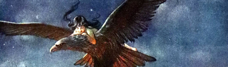 1910 Scarce First Edition - The Child of the Air by M.H. Spielmann, Illustrated by C. Wilhelm.